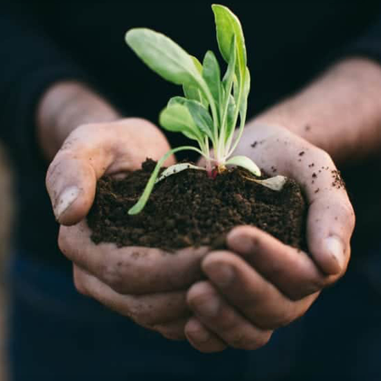 Sustainbility